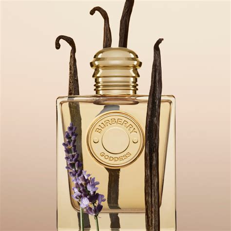 perfume burberry goddess edp|Burberry goddess emma mackey.